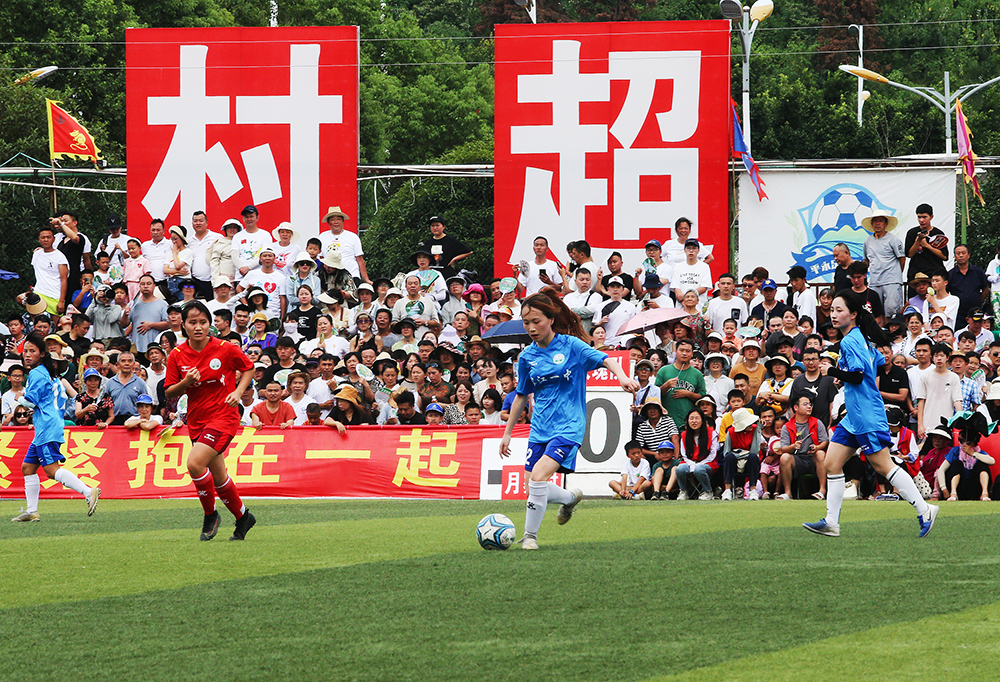 应该忠于本 应该忠于本