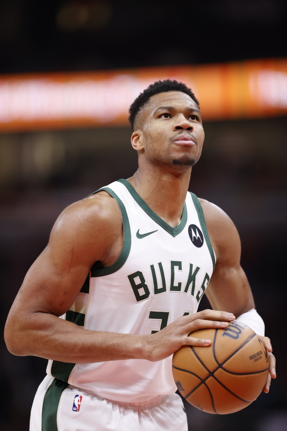 可能触发加 可能触发加